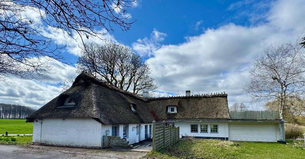 Thumbnail-Ansprechendes Reetdach-Haus mit Einliegerwohnung
