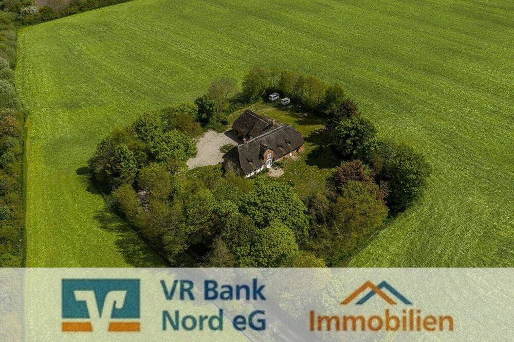 Thumbnail-Friesenhaus unter Reet in traumhafter und absoluter Natur-Alleinlage