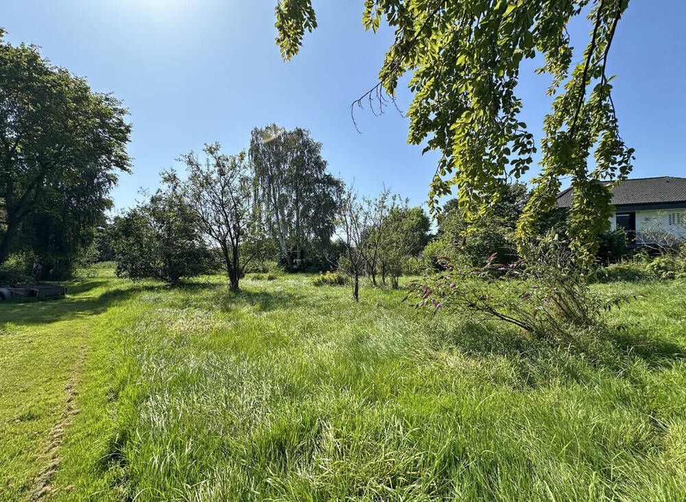 Thumbnail-Baugrundstück - Natur & Elbe
