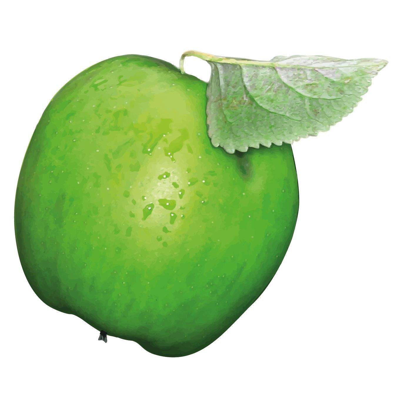 Thumbnail-PREISSENKUNG- Grosse ETW in Laineck für Handwerker!!!