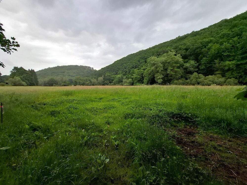 Thumbnail-Bauernhaus mit zusätzlichen Bauplätzen und optionaler Pachtweide in ruhiger Dorflage!