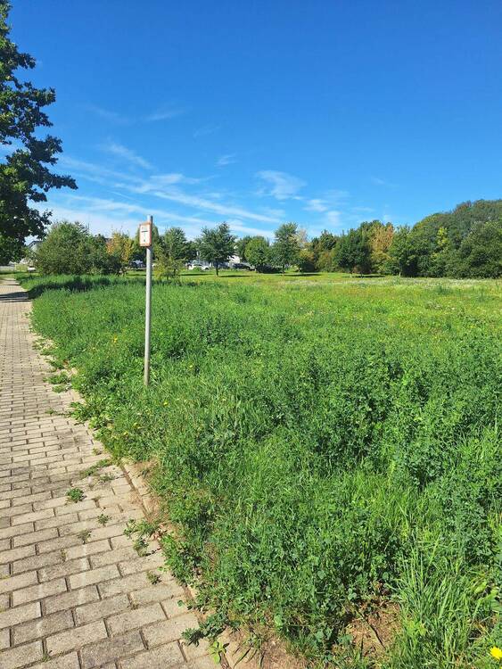 Thumbnail-Großzügiges Grundstück zur gewerblichen Nutzung!