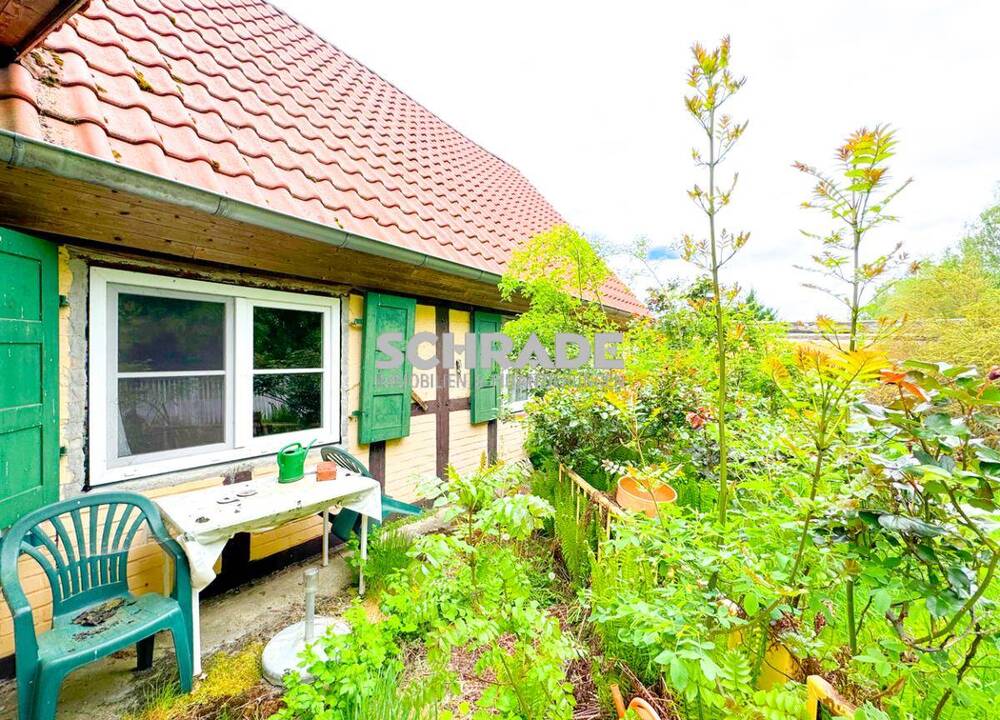 Thumbnail-An der Elbe...