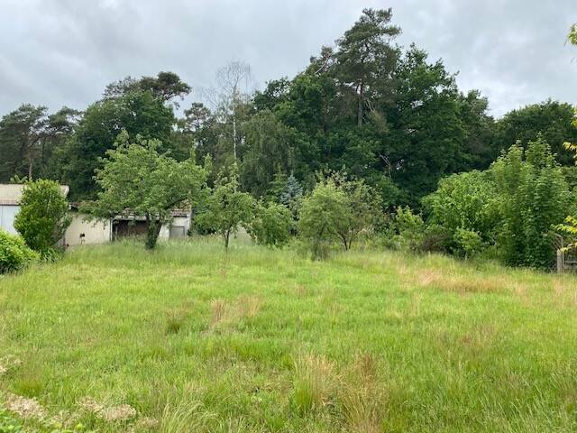 Thumbnail-Baugrundstück in ruhiger Waldrandlage - Ihr Traum vom Eigenheim beginnt hier!