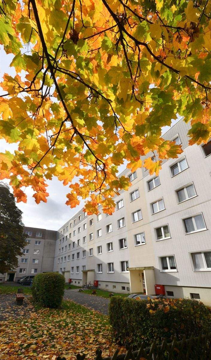 Thumbnail-Wohnung mit Ausblick