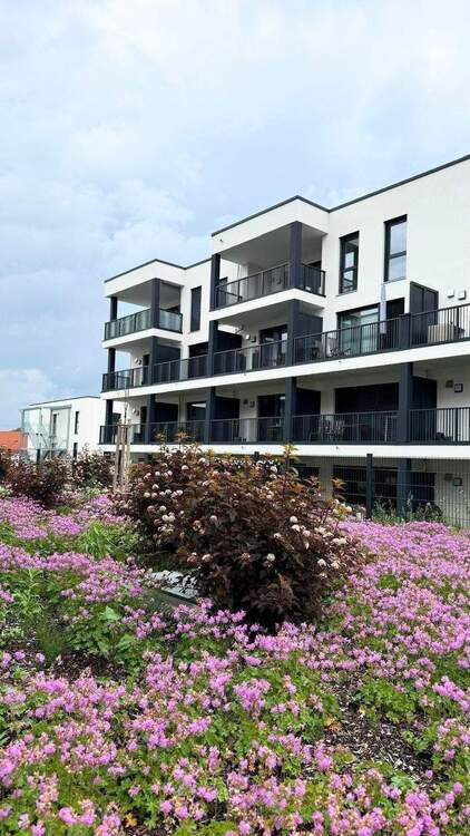 Thumbnail-Penthousewohnungen in 93133 Burglengenfeld 