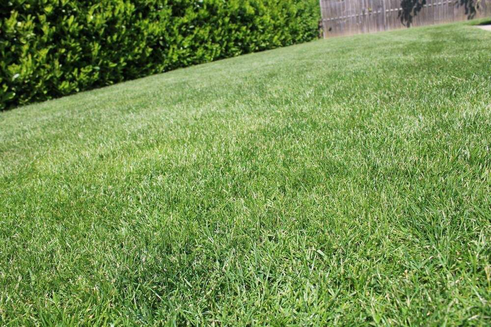 Thumbnail-Juwel am Stadtrand