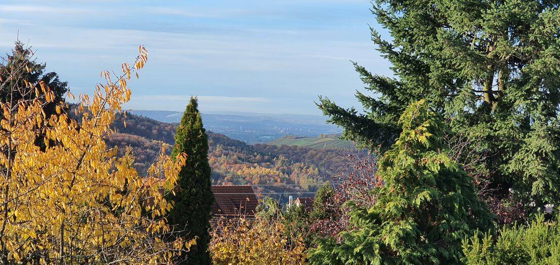 Aussicht vom OG
