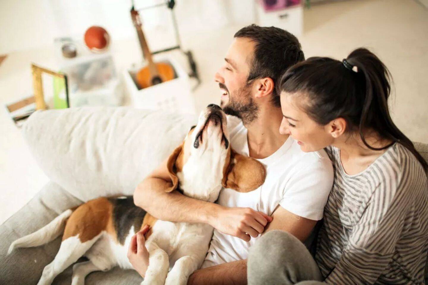 Thumbnail-Ihr bezugsfertiges Einfamilienhaus - Starten Sie jetzt!