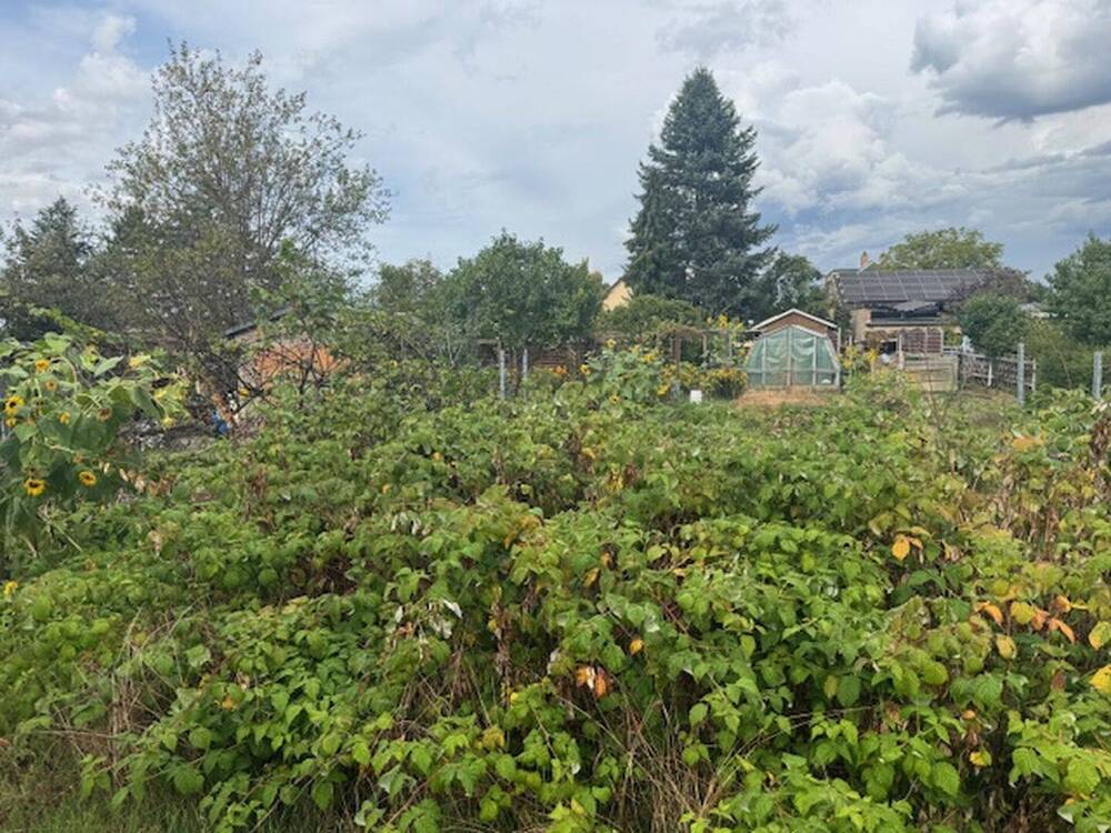 Thumbnail-Kleines Baugrundstück in begehrter Wohnlage oberhalb von Radebeul-West