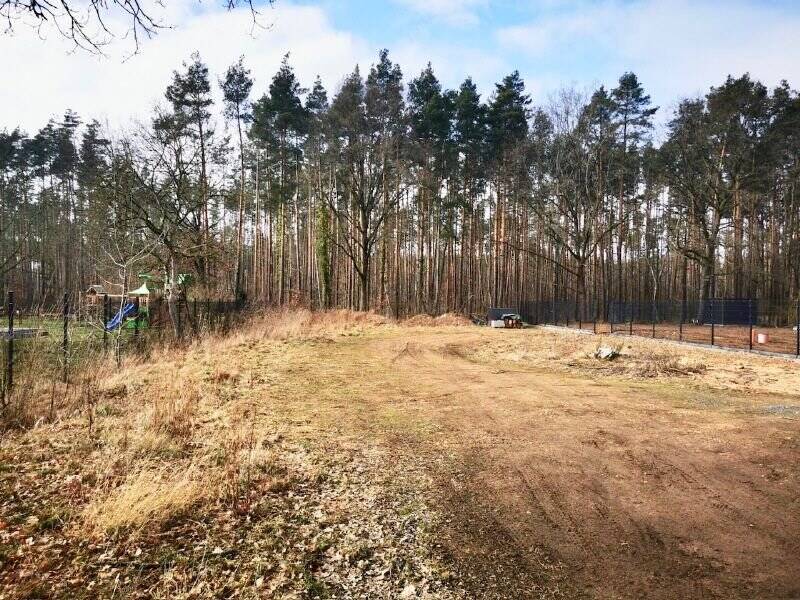 Blick ins Grundstück