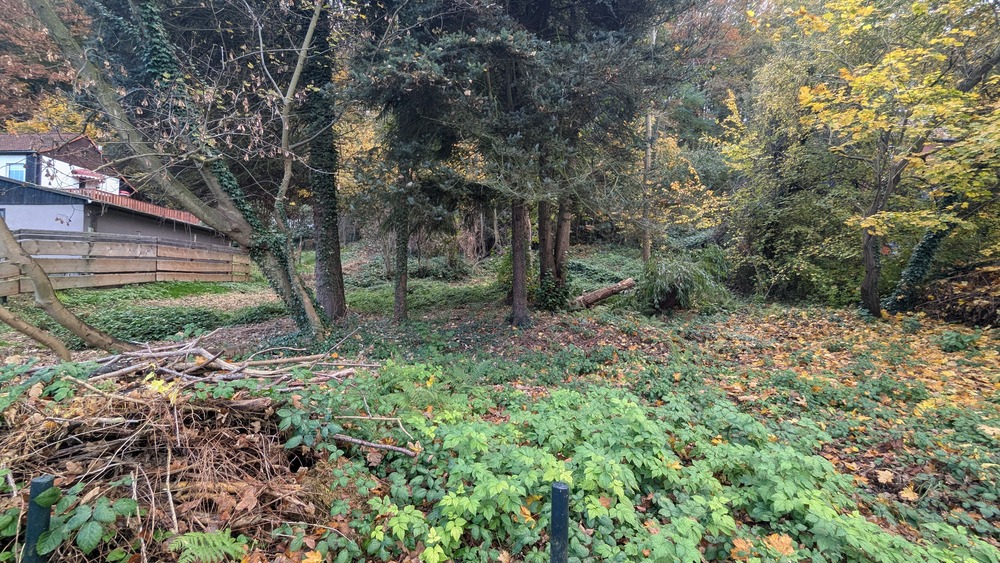 Thumbnail-Kleines Baugrundstück am Elberadweg in Pirna