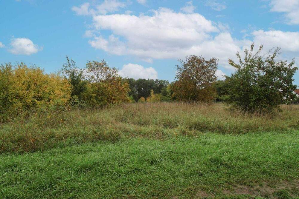 Thumbnail-Baugrundstück in ruhiger Lage von Reuth (Forchheim) - 506 m², ohne Bauzwang