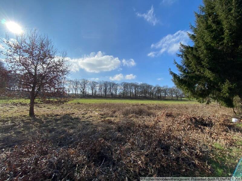 Thumbnail-Großzügiges Mehrfamilienhaus + Blockhütte auf großem Grundstück !