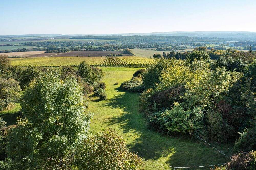 Thumbnail-Sonderpreis! Die ersten drei Käufer sparen 10 %! 72 m² Dachterrasse mit Blick über die Kulturstadt - Fahrstuhl - Erstbezug