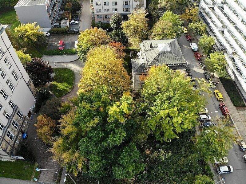 Thumbnail-TOP Wohnung mit großzügiger Dachterrasse | 2 Zimmer im Erstbezug