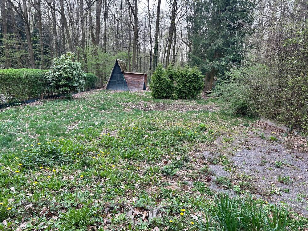 Thumbnail-+++ IDYLLISCHES Grundstück in beliebter Waldrandlage von Glösa +++