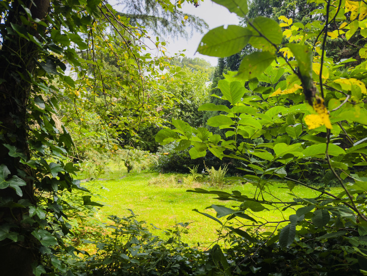 Alte Hauländer