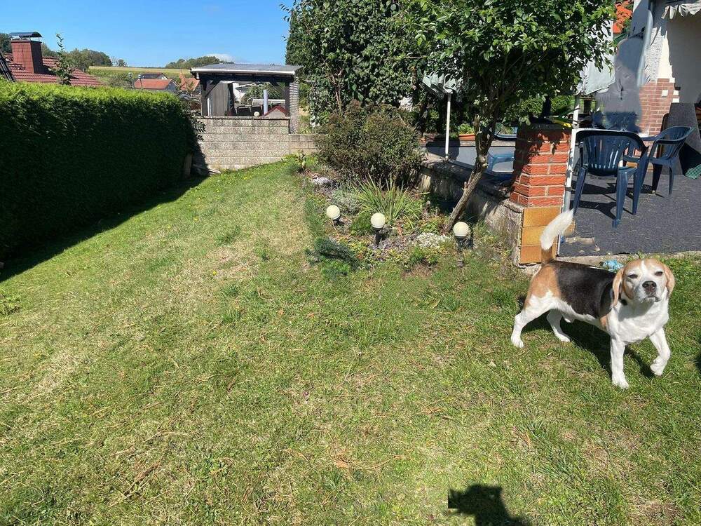 Thumbnail-Gepflegtes Einfamilienhaus mit viel Platz und schönem Garten