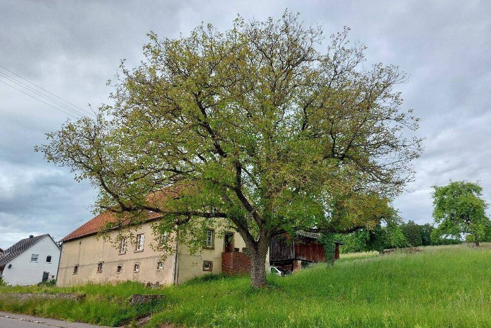 Thumbnail-Ehemaliges Bauernhaus mit Scheunenhaus, reichlich Ausbaupotenzial mit herrlichem Grundstück (Doppelhaushälfte) in Blieskastel-Brenschelbach