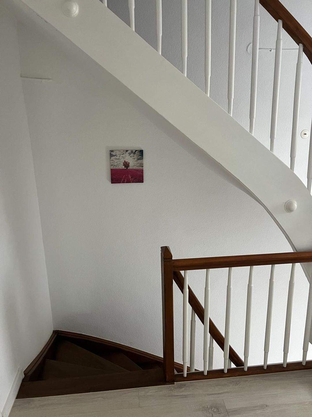 Thumbnail-neu renovierte 3 - Zimmer Wohnung - Miete