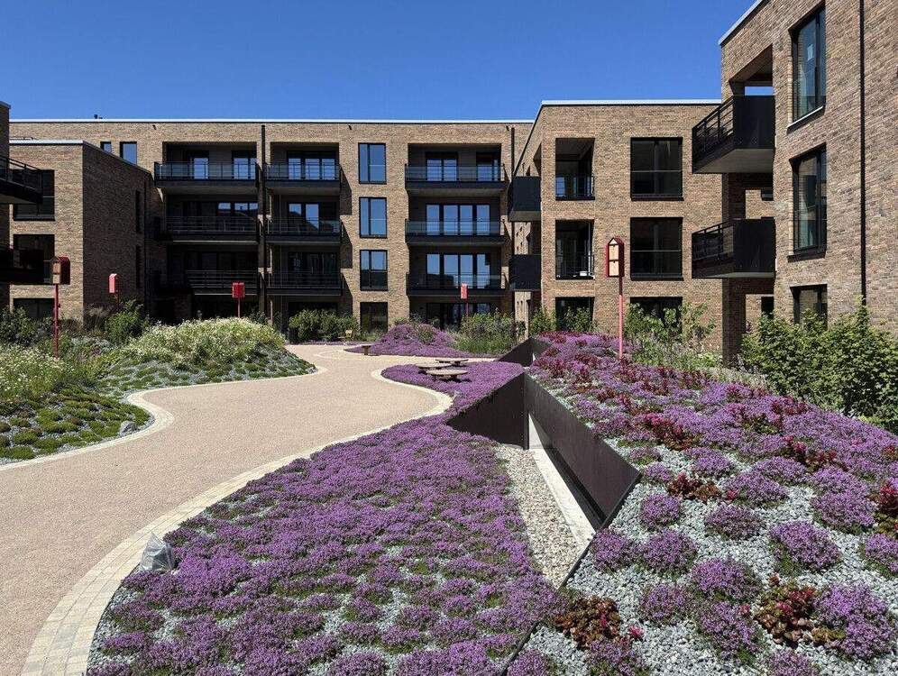 Thumbnail-Erstbezug: Neubau-Loft mit Sonnen-Loggia am Fischereihafen in Travemünde