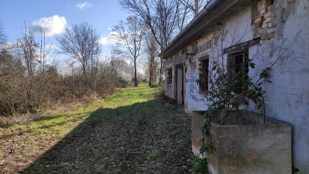 Thumbnail-Grundstück für Einfamilienhäuser für Projektentwickler und Bauträger in Machern