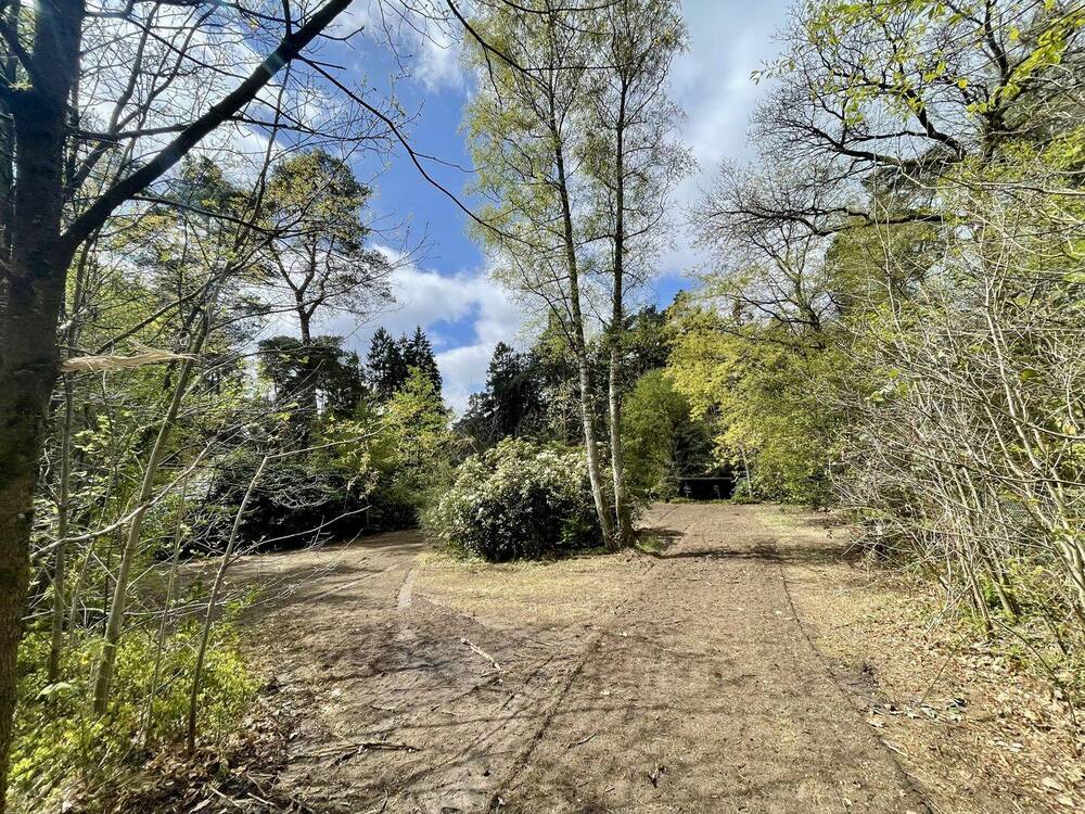 Thumbnail-Traumgrundstück -in begehrter Waldrandlage von Holm-Seppensen