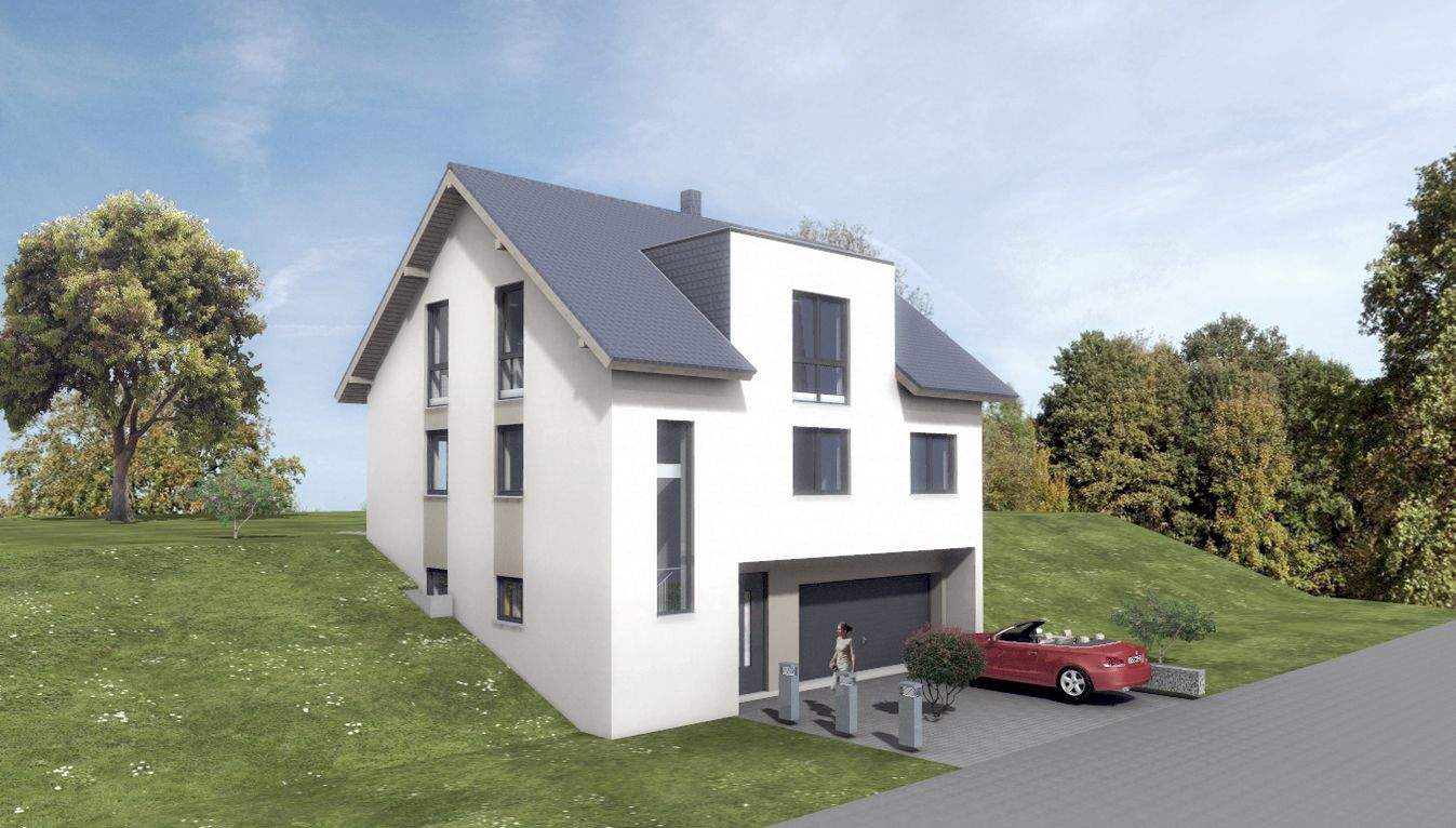 P1auf Garage2.jpg