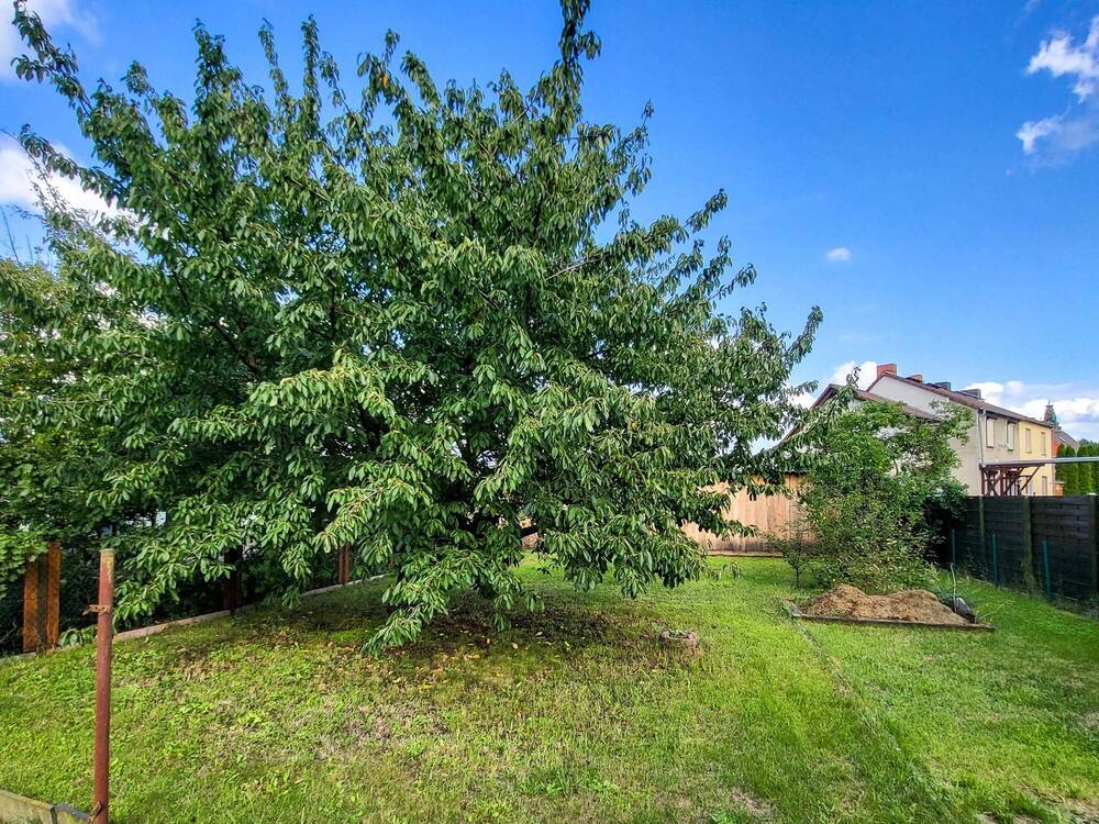 Thumbnail-Der Anfang ist gemacht !