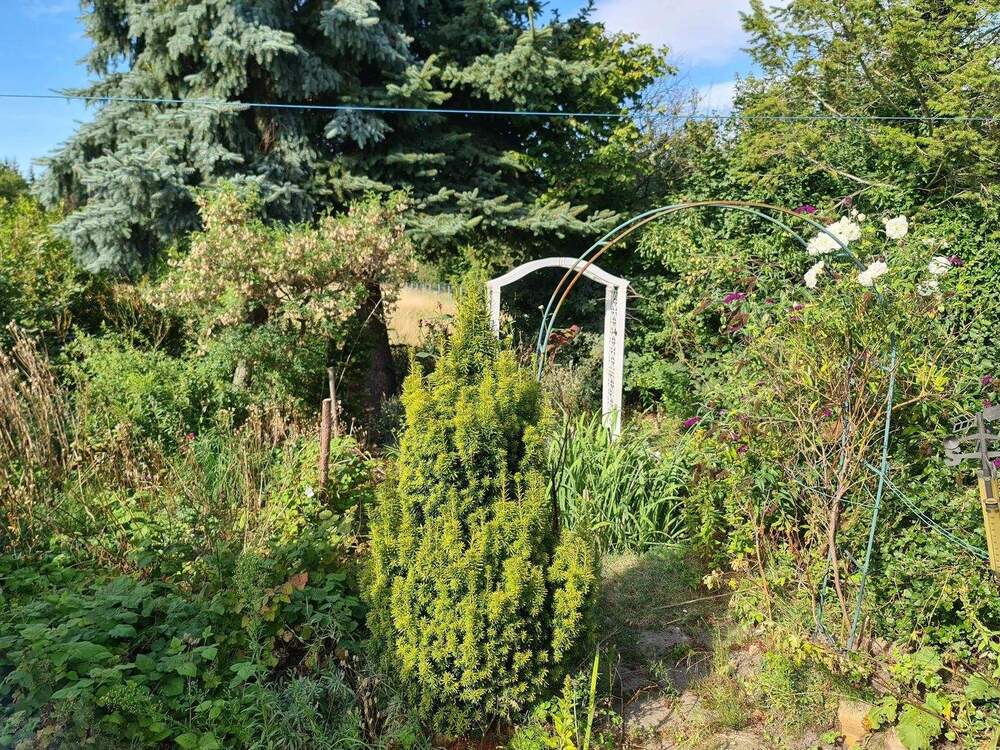 Thumbnail-Der Frühling kommt. Das neue Heim ist schon da!