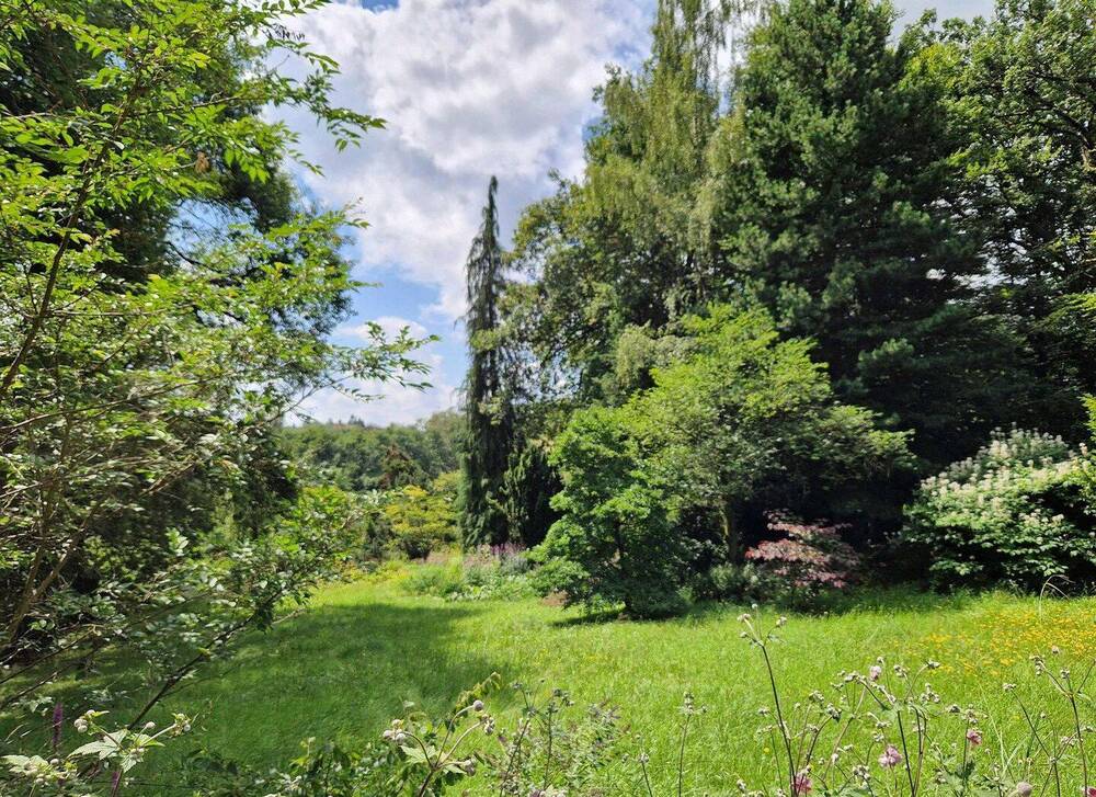 Thumbnail-Großes Grundstück mit Bauplatz - naturnahe und unverbaubare Lage