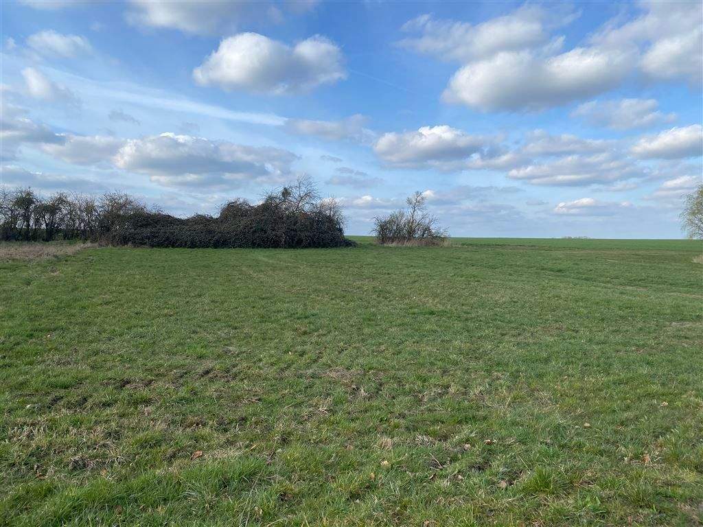 Thumbnail-Bauen Sie Ihr Eigenheim* Kornhain bei Wurzen* Bauerwartungsland* Grüne Lage*