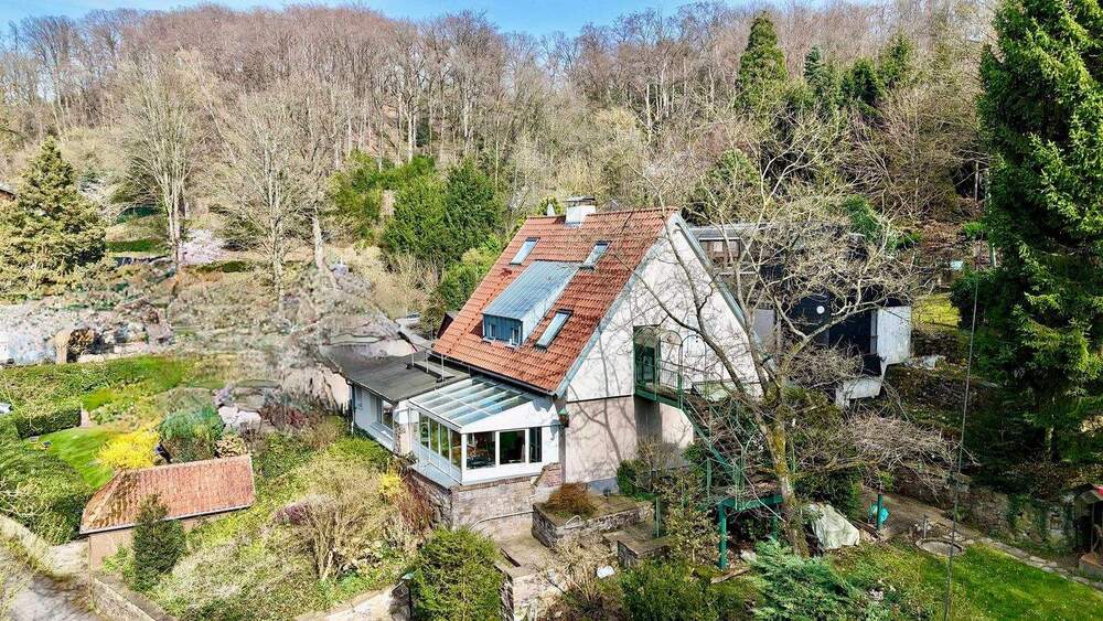 Thumbnail-Ein Projekt für echte Visionäre: Viel Platz, viel Land, viel Freiheit!