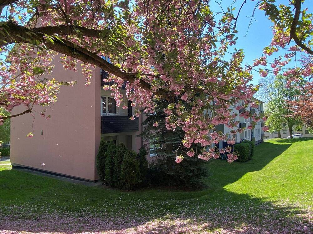 Thumbnail-Helle 2-Zimmer-Wohnung in Fritzlar