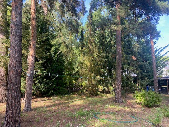 Thumbnail-Grundstück mit großem Baufeld für eine Wohnfläche bis zu ca. 251 m² Wohnfläche