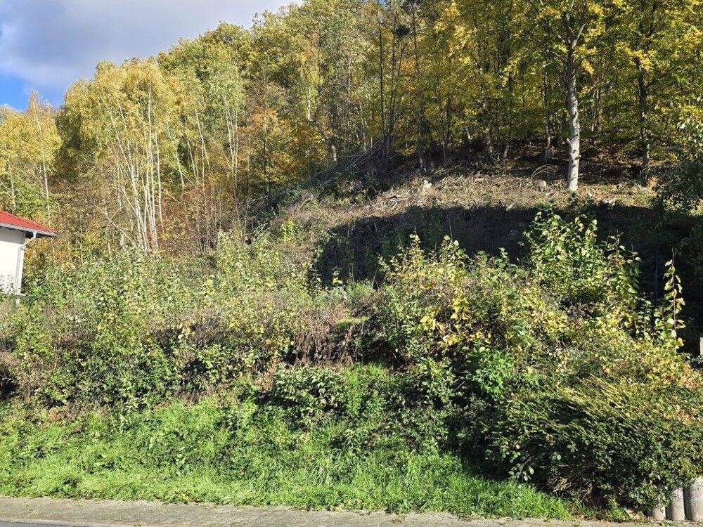 Thumbnail-Sandbach - Sonniges Grundstück am Waldrand - auch MFH möglich