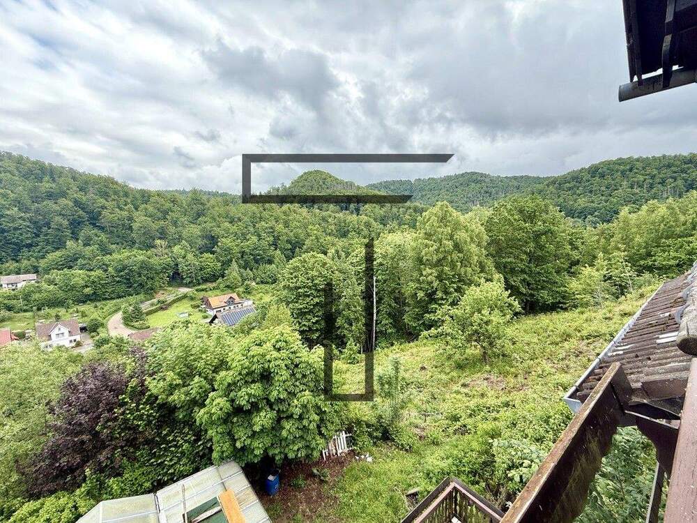 Thumbnail-Ehemalige Pensionshäuser in einmaliger Lage von 37445 Walkenried OT Wieda