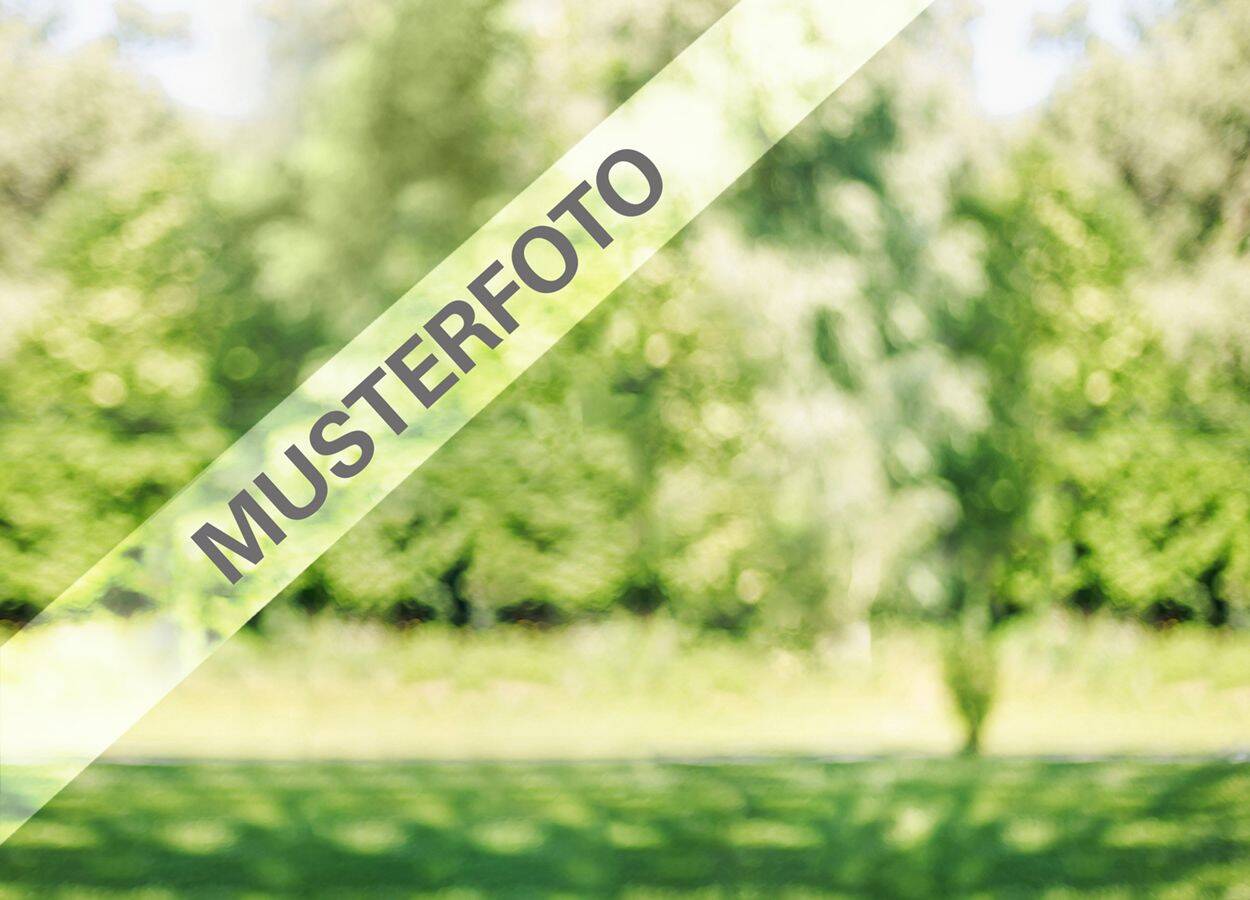 Thumbnail-BA - exclusive Berglage: Baugrund für die Errichtung eines Einfamilienhauses