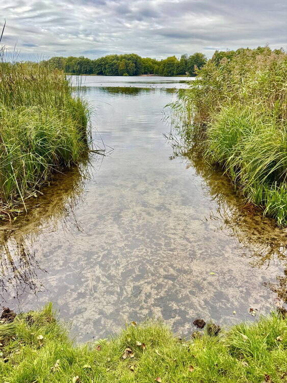Thumbnail-Königs Wusterhausen - Hanglage nah am Zeesener See