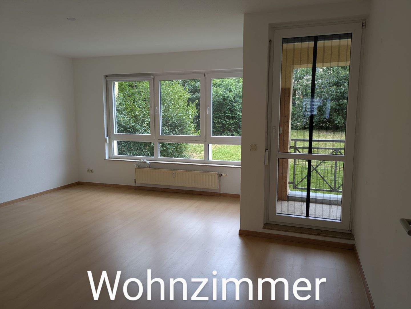 WZ