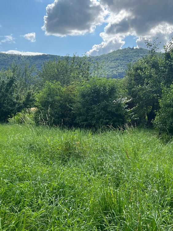 Thumbnail-Wunderschöner Bauplatz in naturnaher, sonniger und ruhiger Lage von Bissingen -Tec