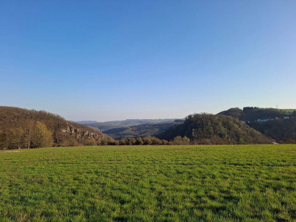 Thumbnail-Leben in Harmonie mit der Natur und den Pferden: Saniertes Bauernhaus mit Pferdebereich, ca. 6,2 ha Eigenland und 3,3 ha möglichen Pachtflächen