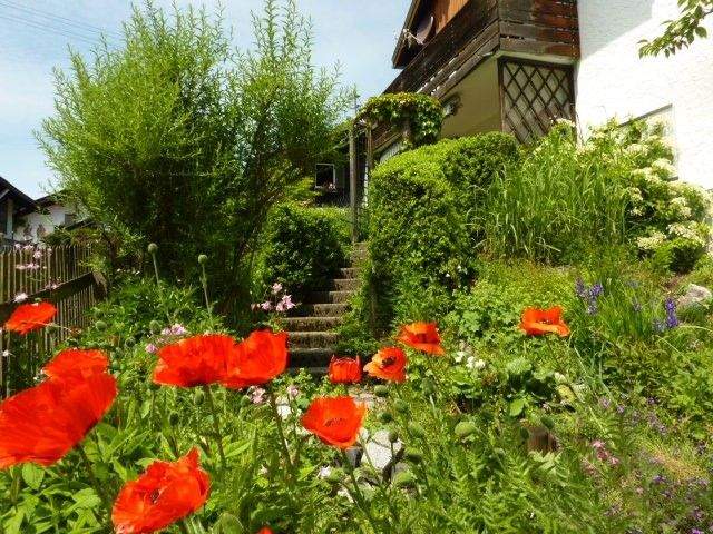 Thumbnail-*Sehr schöne, heimelige 3-Zi.-Wohnung mit ca. 176 m² Garten und Garage**