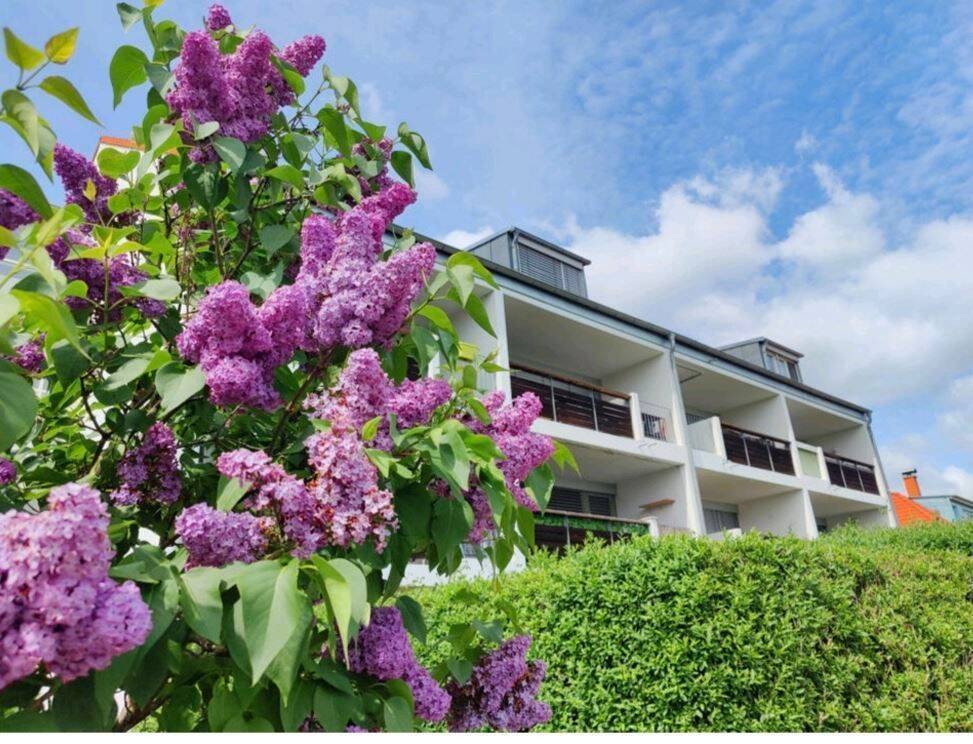 Thumbnail-Schöne 2 Zimmer Whg. mit Weitblick in Queis, Balkon unt TG-Stellplatz!