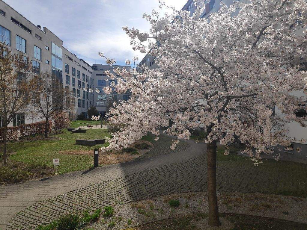 Thumbnail-KP-Faktor 27,2; Energiea. A+, 2-Zi Bestlage Arnulfpark prov.frei