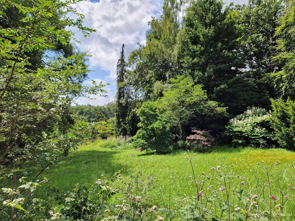 Grundstück Blick Süd/Südwest
