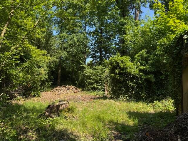 Thumbnail-Waldwinkel Machern: Natur trifft Lebensqualität - Baugrundstück in absolut ruhiger Waldlage