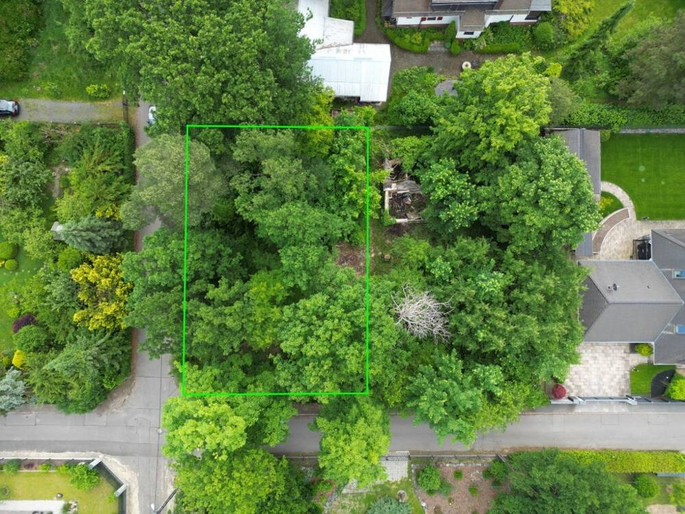 Thumbnail-Waldwinkel Machern: noch zu teilendes Baugrundstück in traumhafter Waldlage