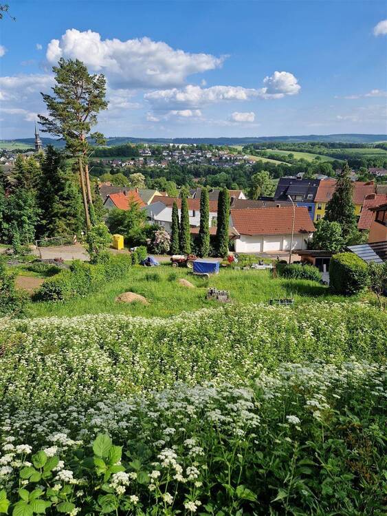 Fernblick